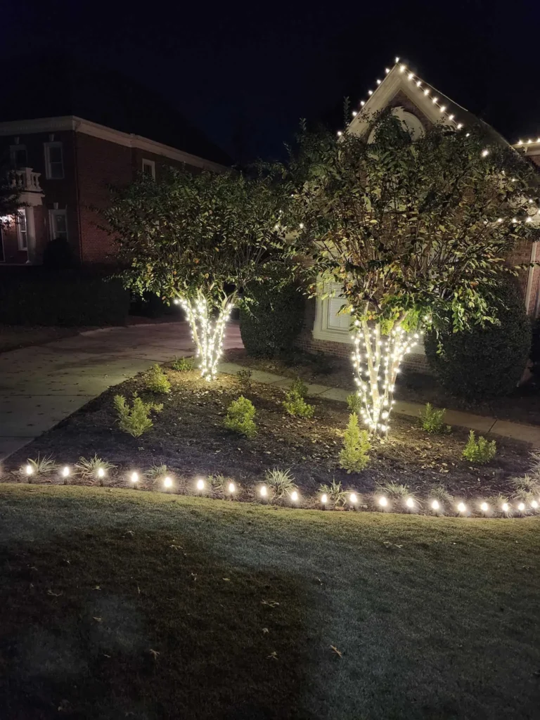 Trees wrapped with warm white Christmas lights in Virginia-Highland Atlanta